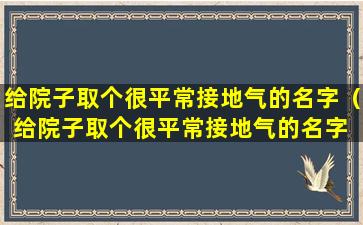 给院子取个很平常接地气的名字（给院子取个很平常接地气的名字 🕸 有哪些）